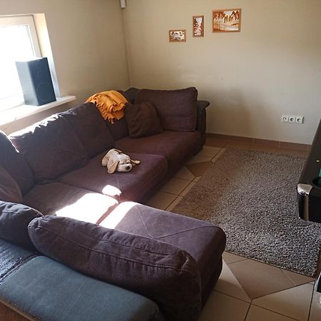 Vilnius Cat Friendlyアパートメント エクステリア 写真